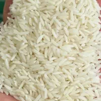 برنج هاشمی اصل