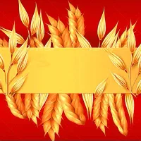 دعوت به همکاری