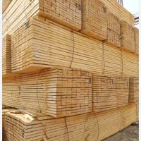 فروش چوب «بائوباب»