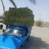 یونجه پرس