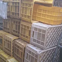 جعبه پلاستیکی ۲۰ کیلویی