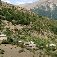 فروش زمین ییلاقی