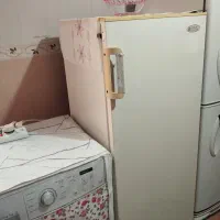 یخچال و فریزر تک در آزمایش تمیز