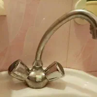 چندتایی سیر دوقلو تک قلو