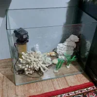 آکواریوم با وسایل و تصویه آب