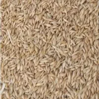 خریدوفروش گندم
