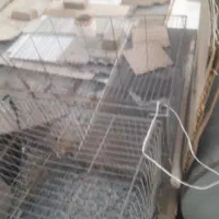 قفس کبوتر خرگوش