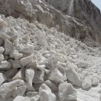 پخش نمک محمدی
