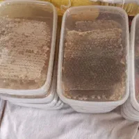 عسل طبیعی