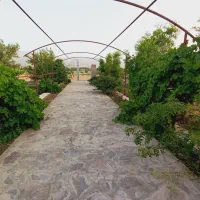 باغ ویلا|فروش خانه و ویلا|بیرجند, |دیوار
