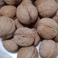 گردوتازه امسال