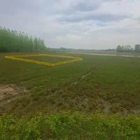 زمین مسکونی به متراژ ۲۵۰متر نزدیک به شهر