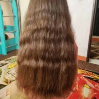 مو طبیعی(بزرگترین مرکزمو)باتفاوت حداقل ۵میلیون