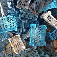 نیروی کار