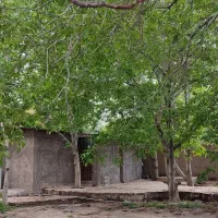 اجاره روزانه خانه باغ راین