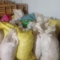 سیب زمینی خوراک دام