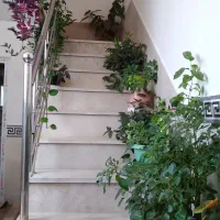 گل های عالی جوان برای فروش