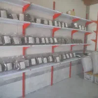 فروش چای لاهیجان با کیفیت