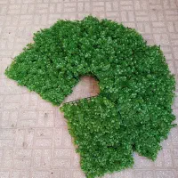 گرینوال مصنوعی جدید2026