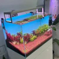 نصب تخصصی انواع اکواریوم حرفه ای پلنت و دیسکس