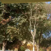 ۱۰۸ متر ویلایی دو ط خ لاهور