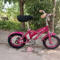 دوچرخه