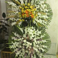 تاج گل طبیعی