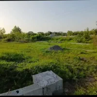 زمین قابل ساخت در لشت نشا