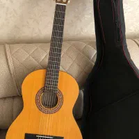 گیتار پارس