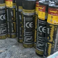 ایزوگام