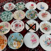 میوه خوری ملامین دست نیستن دونه 80