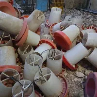 ذانخوری مرع