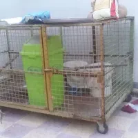 قفس پرنده مرغ وخروس وغیره