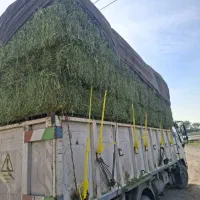 پرس یونجه خشک