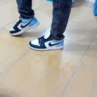 دمدری طرحدار