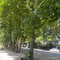 زمین تجاری داخل بافت تهراندشت سرخاب سعیداباد