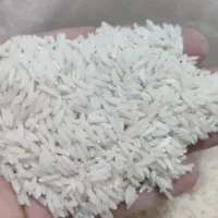 برنج شیرودی