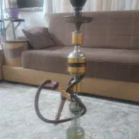 قلیان طرح منبت کاری میوه ای