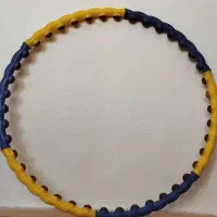 حلقه شکم و پهلو