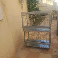 قفس مکانیزه مرغ تخم گذار