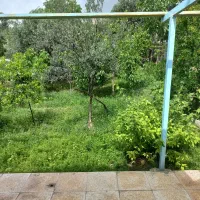 سوئیت-ویلا-باغ-دربست