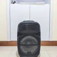 اسپیکر بزرگ
