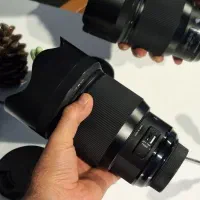 sigma 85mm f1.4 Nikon d750 50mm f1.4