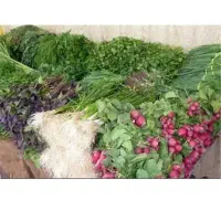 سبزی خوردن تازه وجور