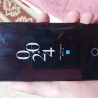 not 13 شیامی