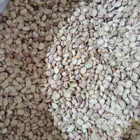 لوبیا شکسته .چیتی .اقتصادی.