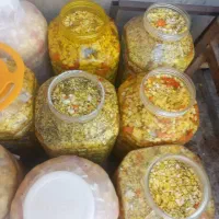 ترشی جات  یبزی جات