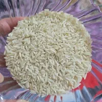 برنج هاشمی الموت