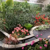 گیاه شناسی و کاشت گیاهان فضای سبز