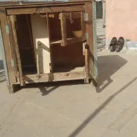 قفس کبوتر و پرنده، میز قدیمی کار کرده